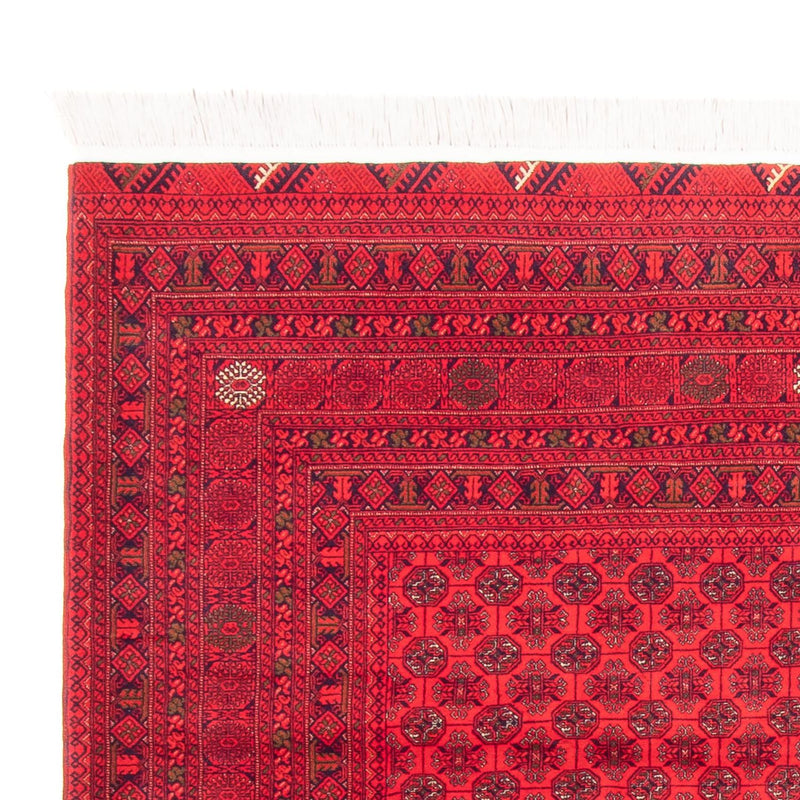 Afghansk teppe 289x200cm - Orientalsk teppe