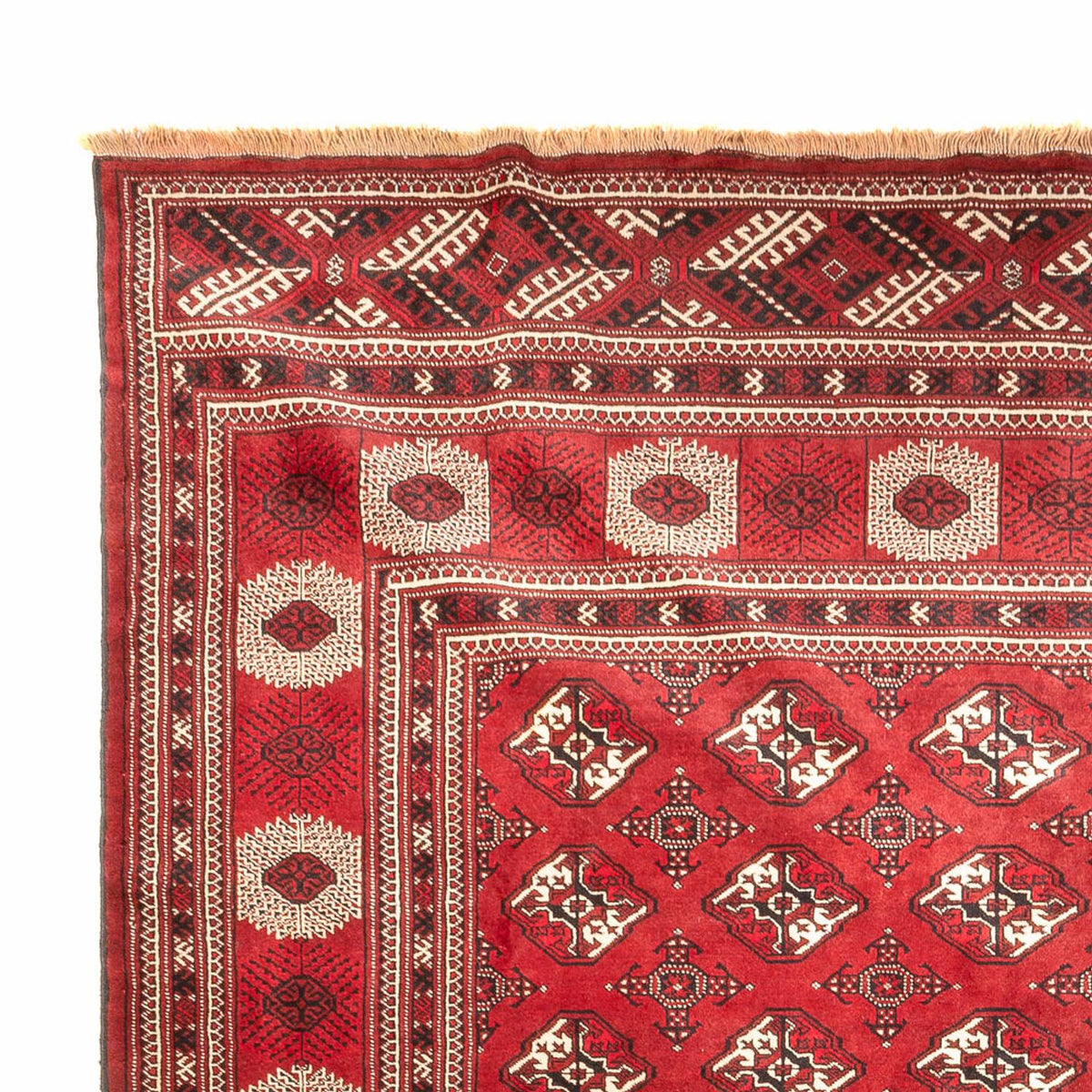 Turkaman teppe 270x391cm - Persisk teppe