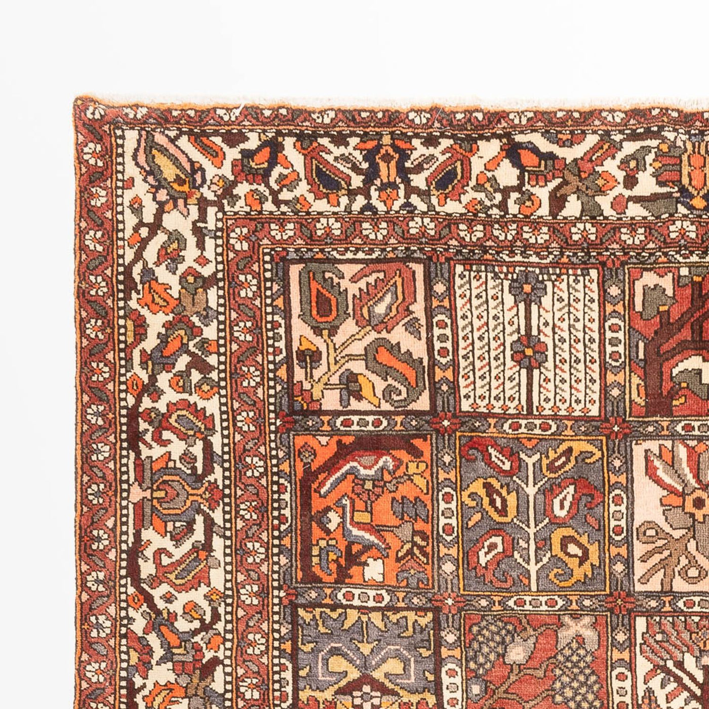 Bakhtiari Teppe 302x210cm - Persisk teppe