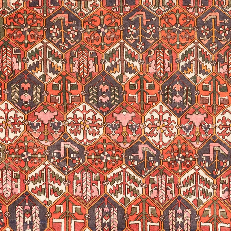 Bakhtiari Teppe 310x210cm - Persisk teppe