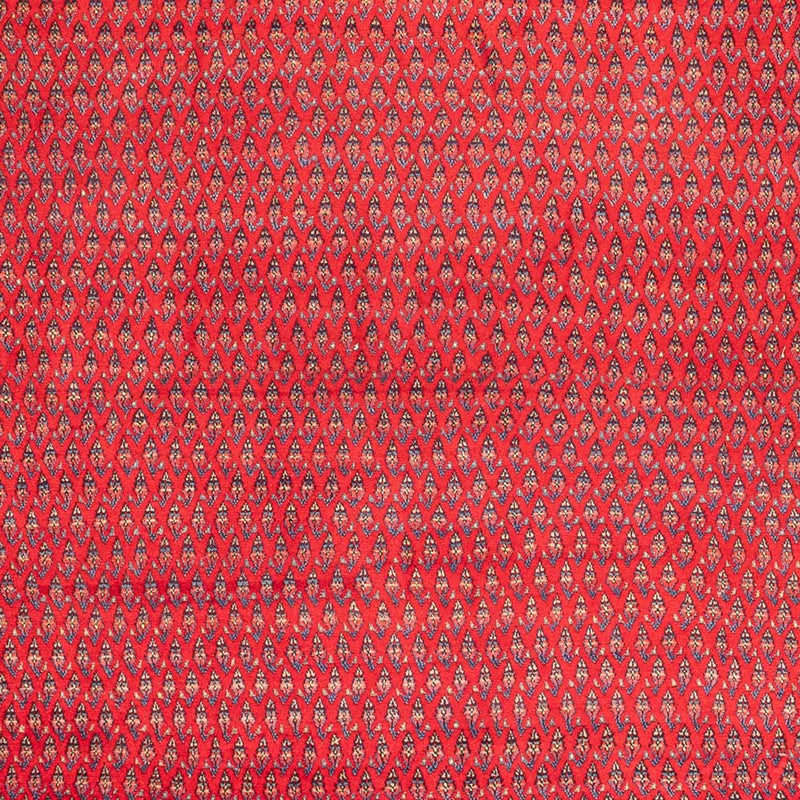 Mir Teppe 320x217cm - Persisk teppe