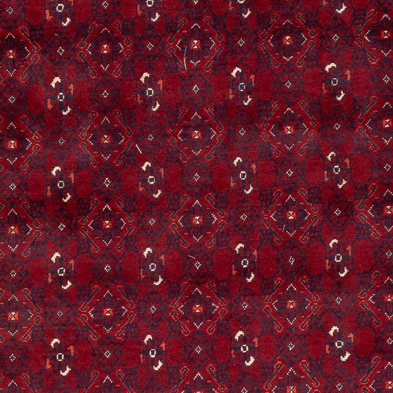 Bukhara Teppe 195x284cm - Orientalsk teppe