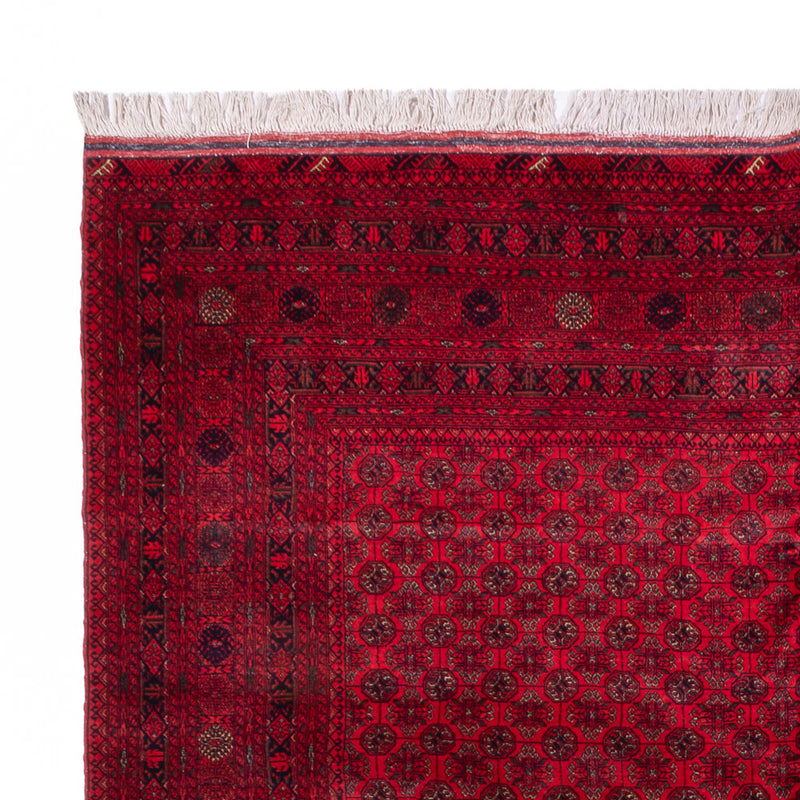 Bukhara Teppe 336x248cm - Orientalsk teppe