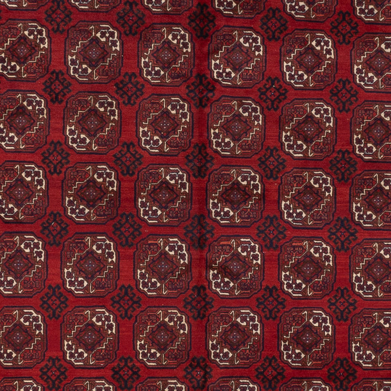 Bukhara Teppe 334x252cm - Orientalsk teppe