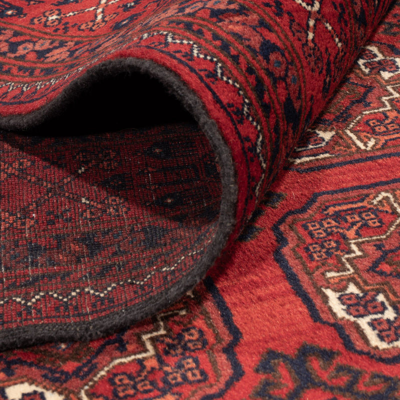 Bukhara Teppe 334x252cm - Orientalsk teppe