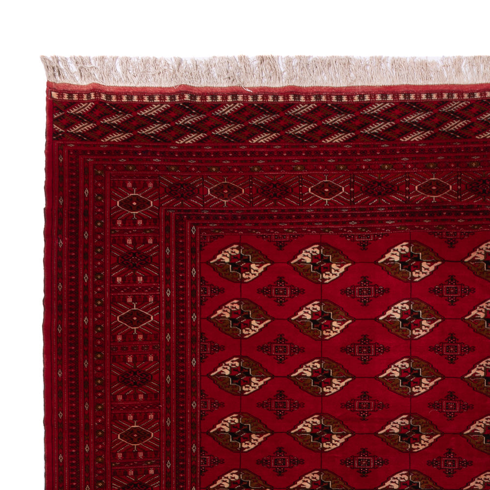 Bukhara Teppe 382x300cm - Orientalsk teppe