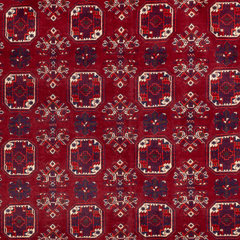 Bukhara Teppe 288x197cm - Orientalsk teppe