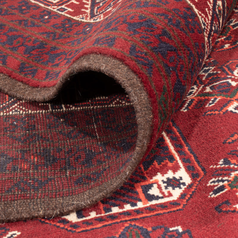 Bukhara Teppe 288x197cm - Orientalsk teppe