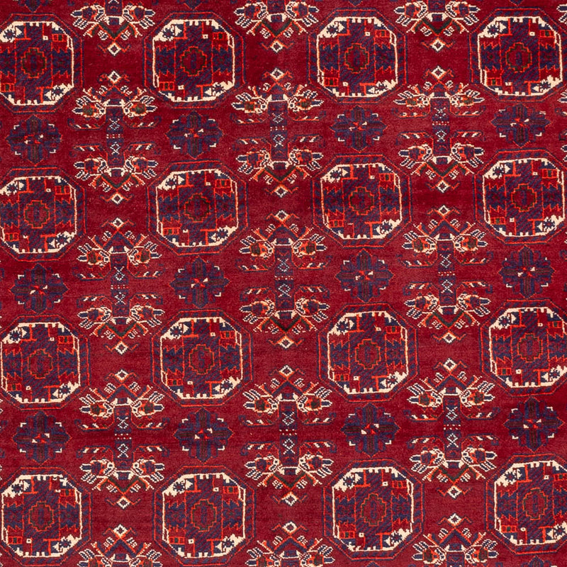 Bukhara Teppe 198x283cm - Orientalsk teppe