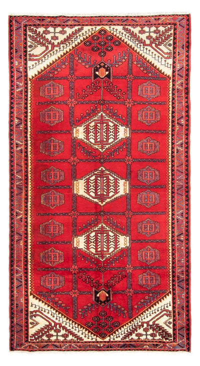 Hosseinabad Teppe 156x317cm - Persisk teppe