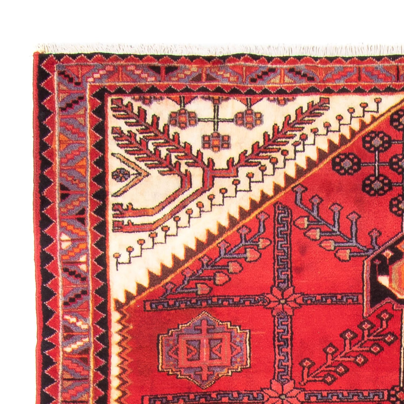 Hosseinabad Teppe 317x156cm - Persisk teppe