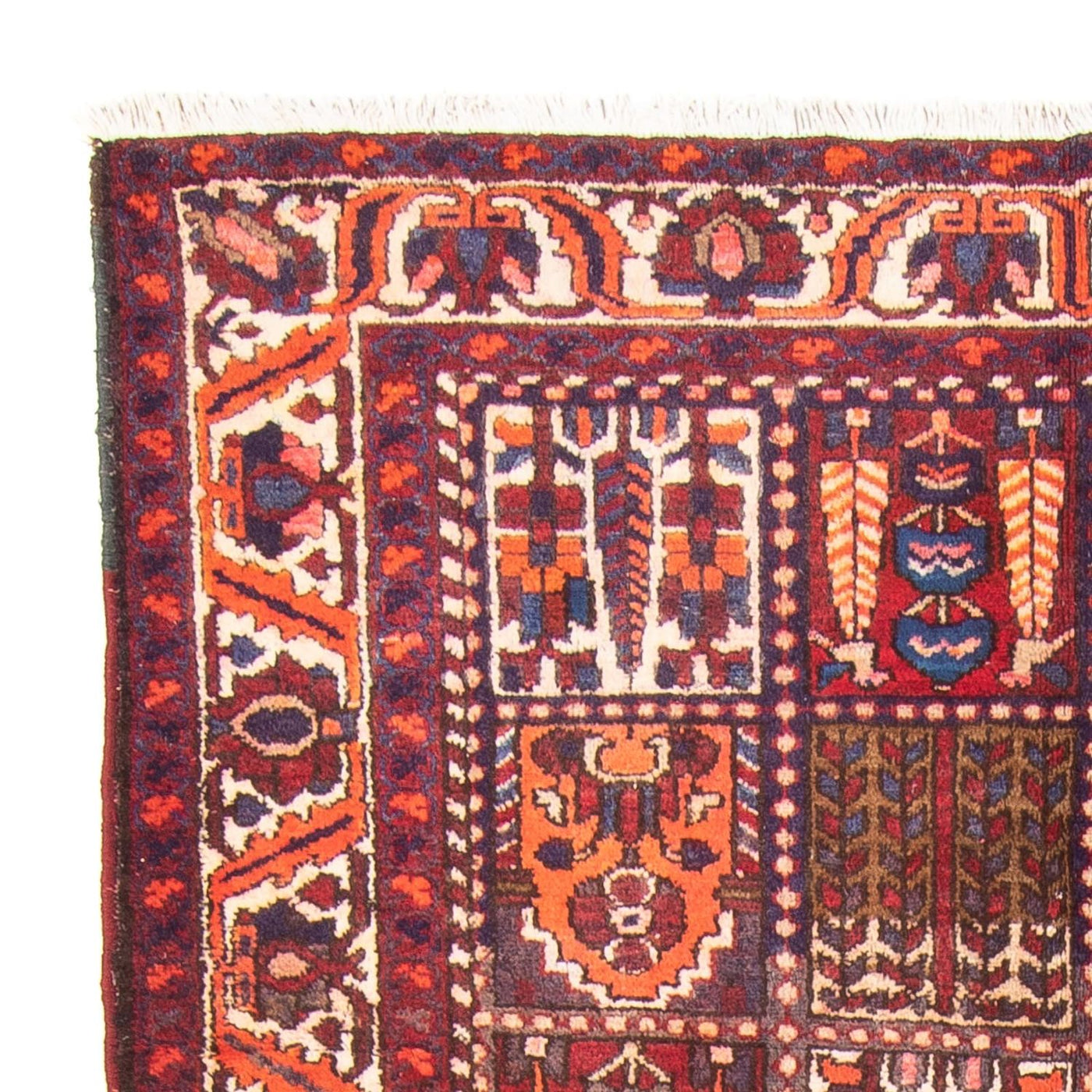 Bakhtiari Teppe 290x158cm - Persisk teppe