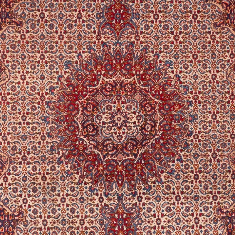 Moud Teppe 303x210cm - Persisk teppe
