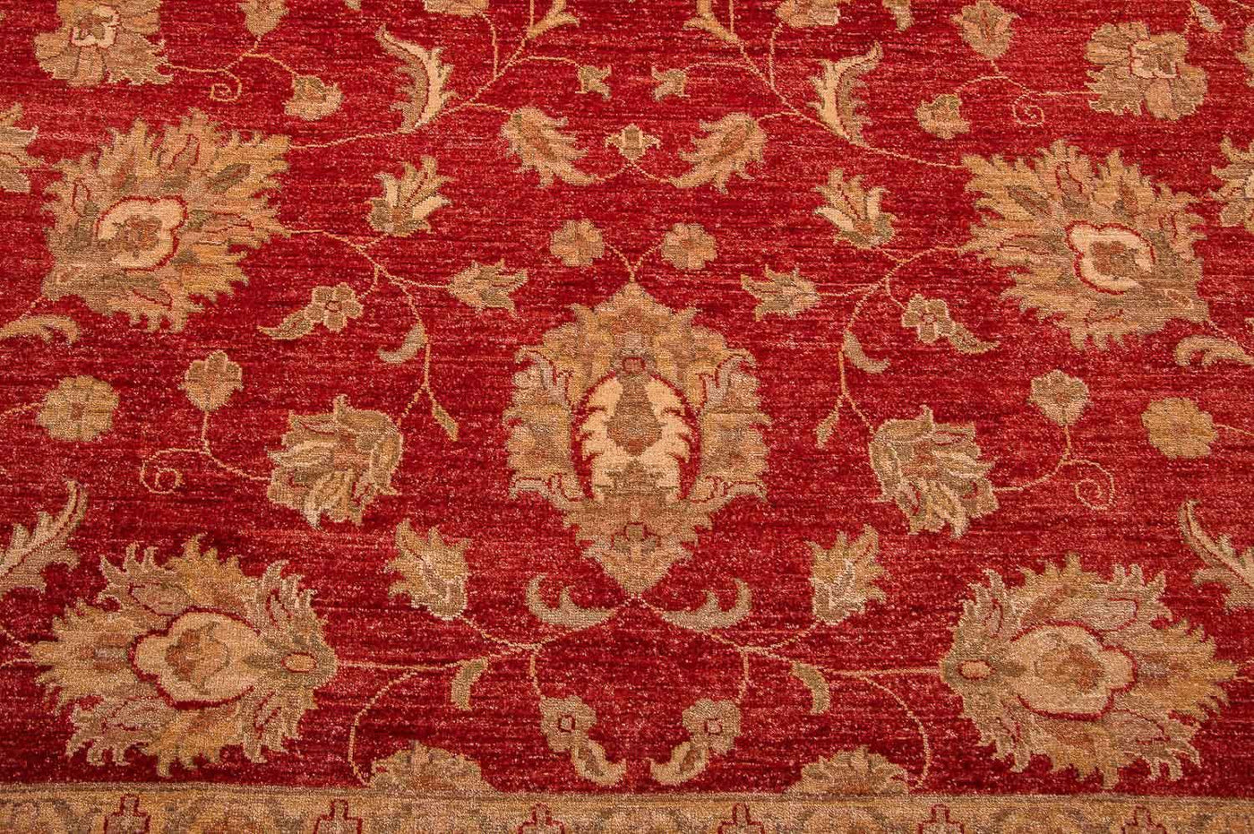 Ziegler Teppe 301x241cm - Orientalsk teppe