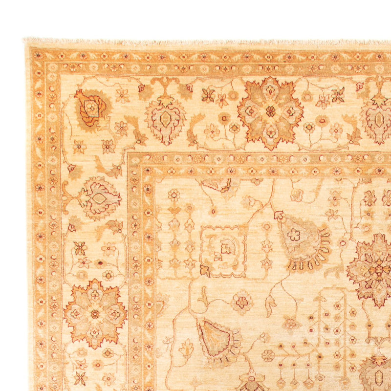 Ziegler Teppe 288x406cm - Orientalsk teppe