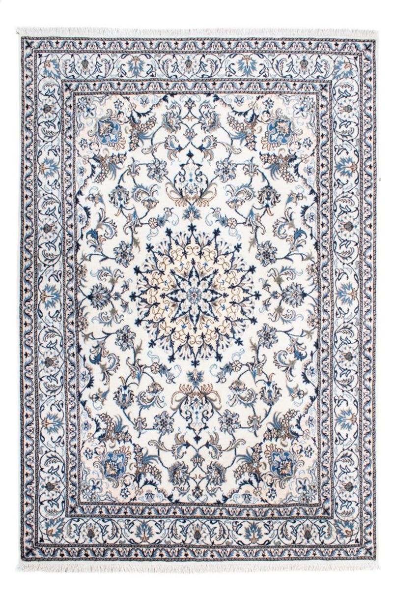 Nain - 12 la Teppe 253x168cm - Persisk teppe