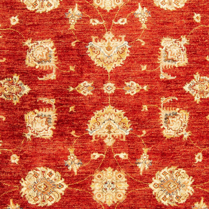 Ziegler Teppe 207x152cm - Orientalsk teppe