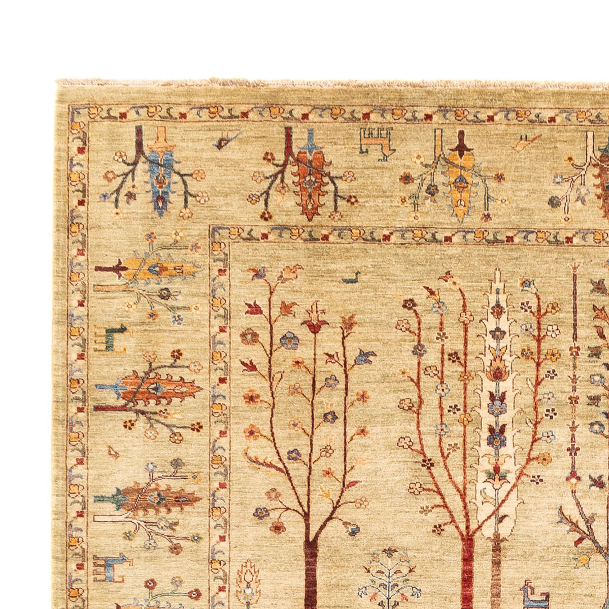 Ariana Teppe 250x343cm - Orientalsk teppe