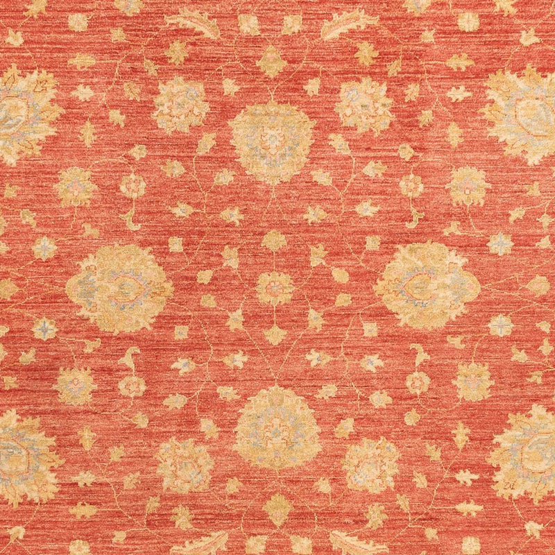 Ziegler Teppe 344x257cm - Orientalsk teppe