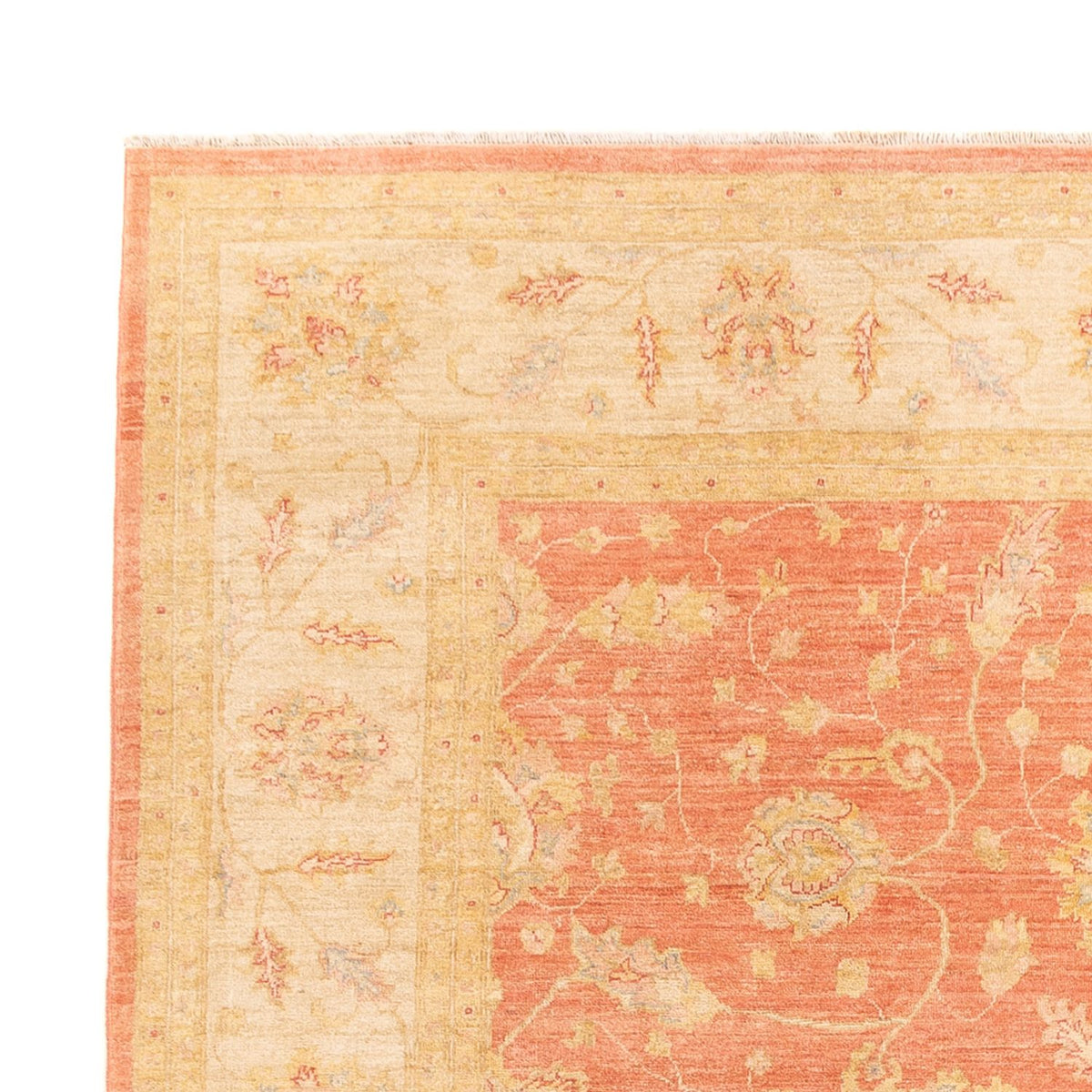 Ziegler Teppe 256x342cm - Orientalsk teppe