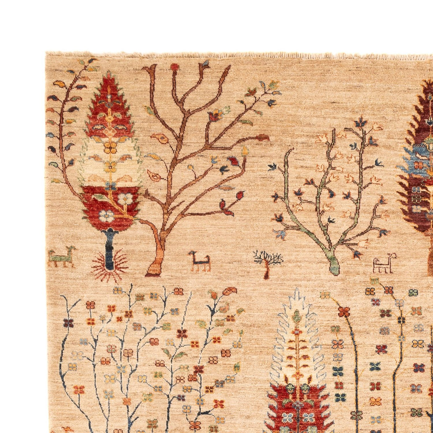 Ziegler Teppe - Ariana - 312 x 212 cm - flerfarget