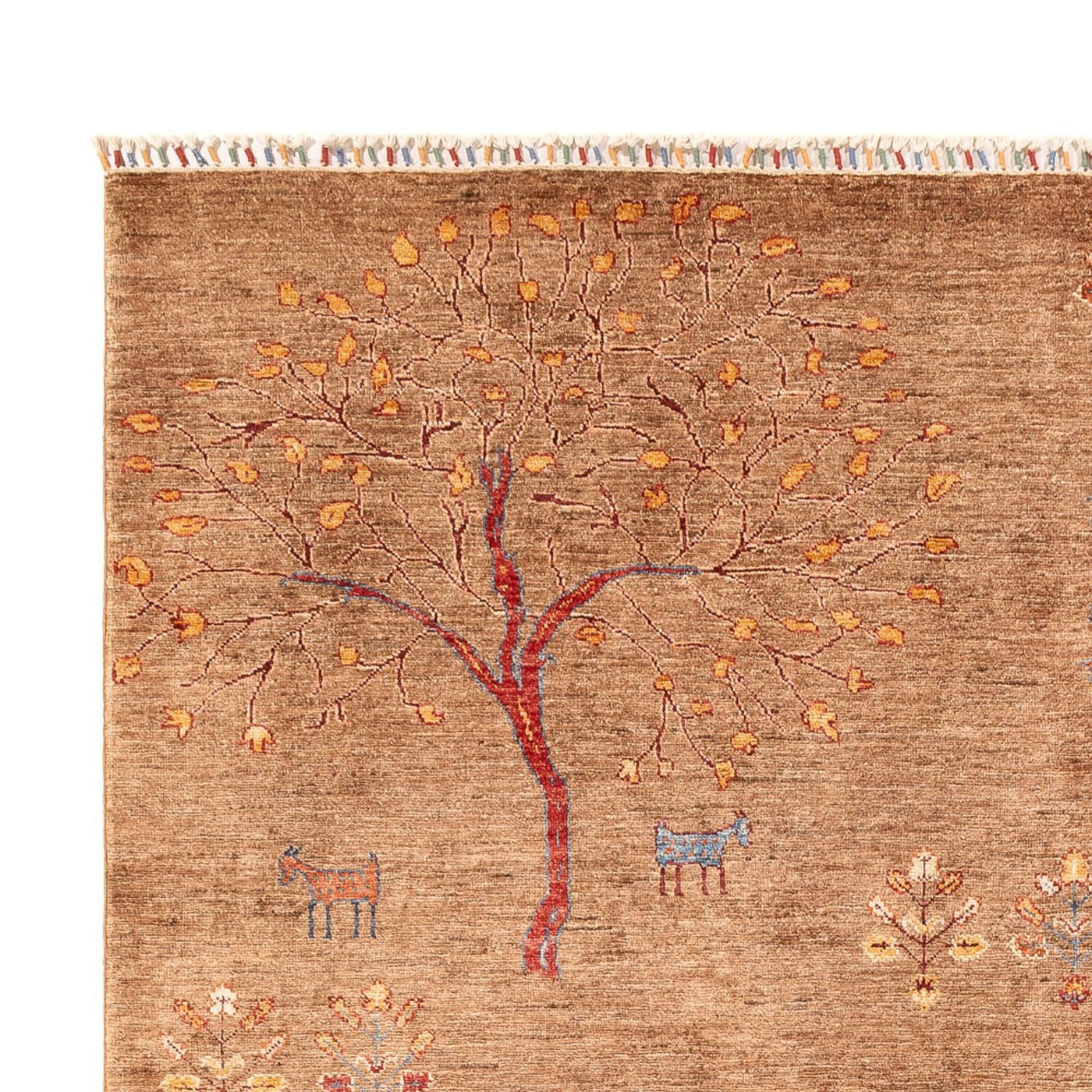 Ziegler Teppe - Ariana - 298 x 206 cm - mørk beige