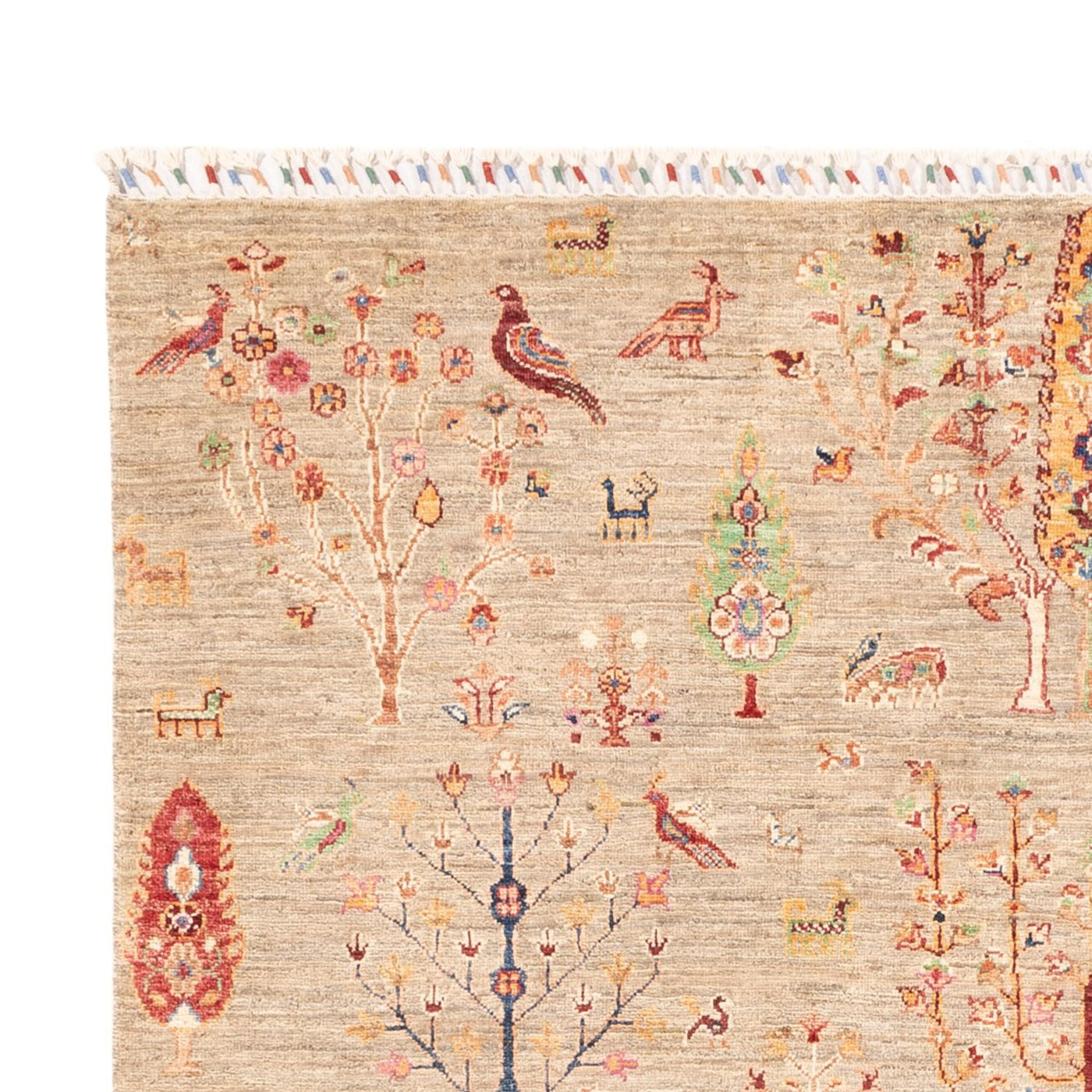 Ariana Teppe 242x169cm - Orientalsk teppe