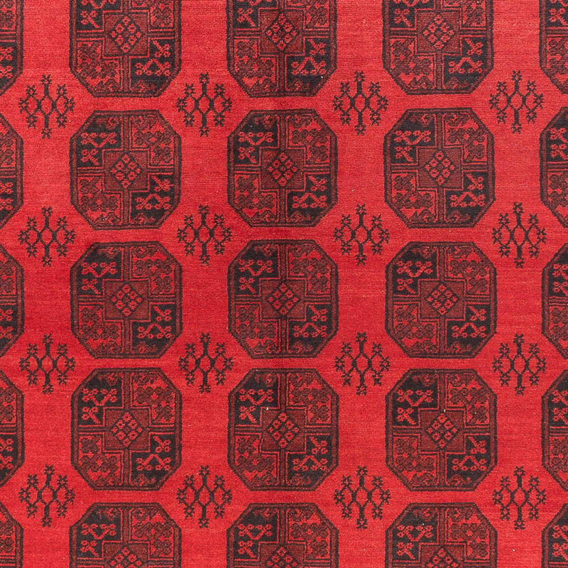 Akhche Teppe 295x384cm - Orientalsk teppe