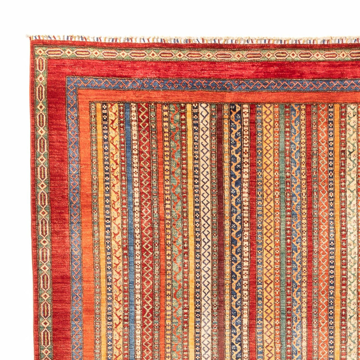 Ziegler moderne Teppe 302x409cm - Orientalsk teppe