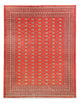 Bukhara Teppe 401x311cm - Orientalsk teppe