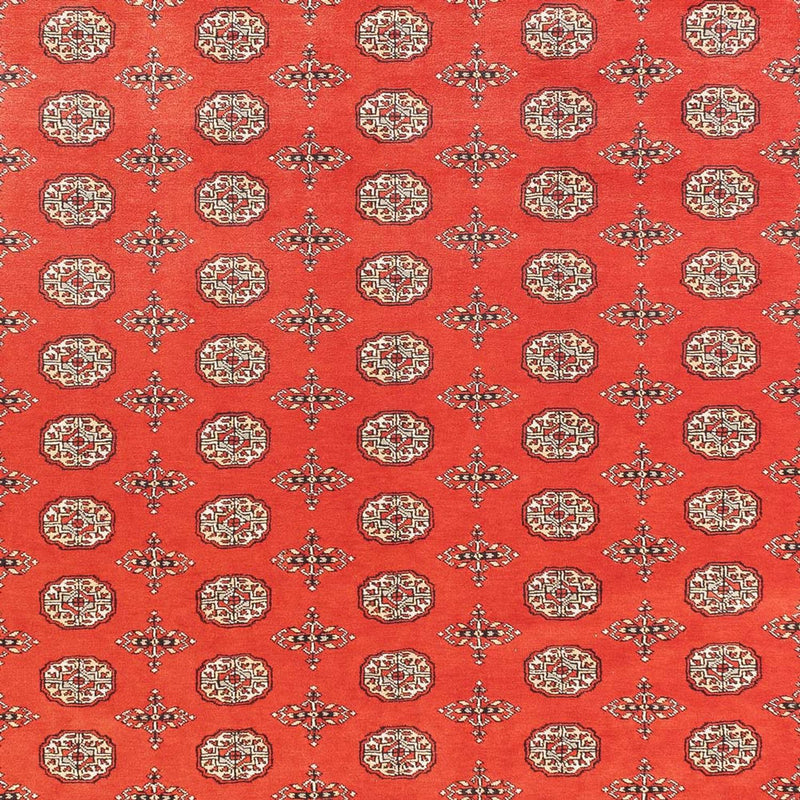 Bukhara Teppe 401x311cm - Orientalsk teppe