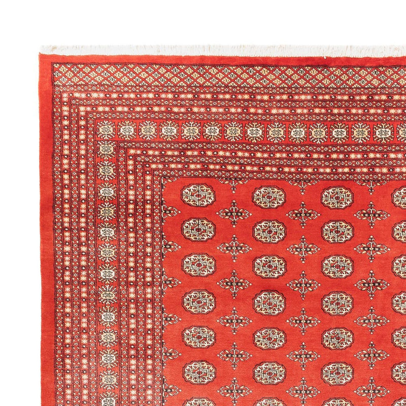 Bukhara Teppe 401x311cm - Orientalsk teppe