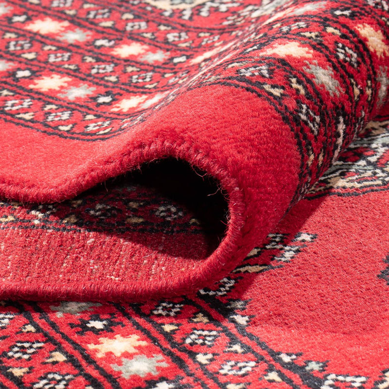 Bukhara Teppe 401x311cm - Orientalsk teppe