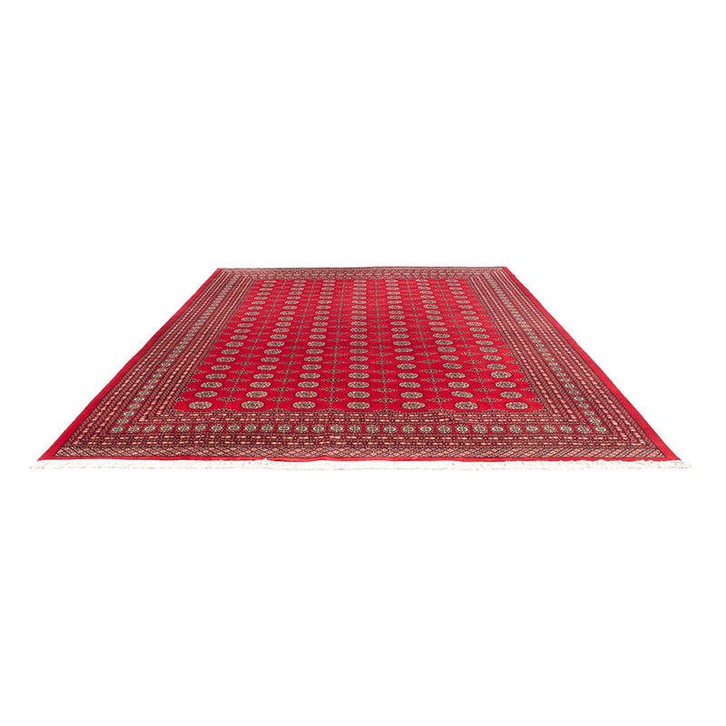Bukhara Teppe 401x311cm - Orientalsk teppe