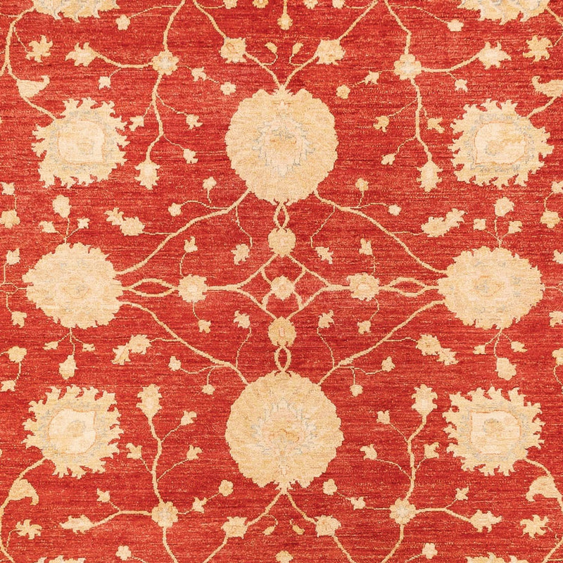 Ziegler Teppe 277x367cm - Orientalsk teppe