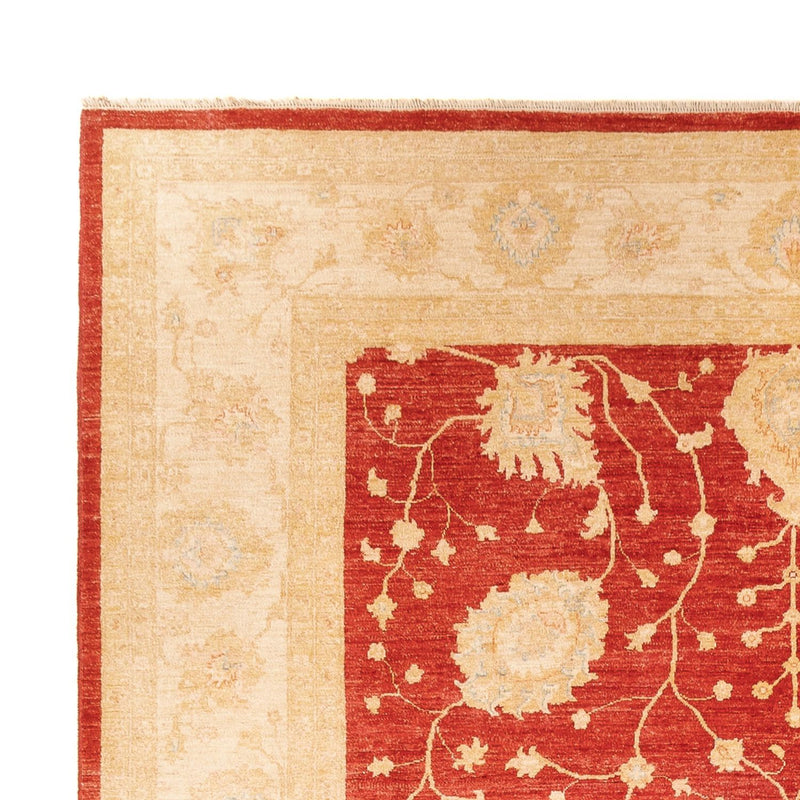 Ziegler Teppe 277x367cm - Orientalsk teppe