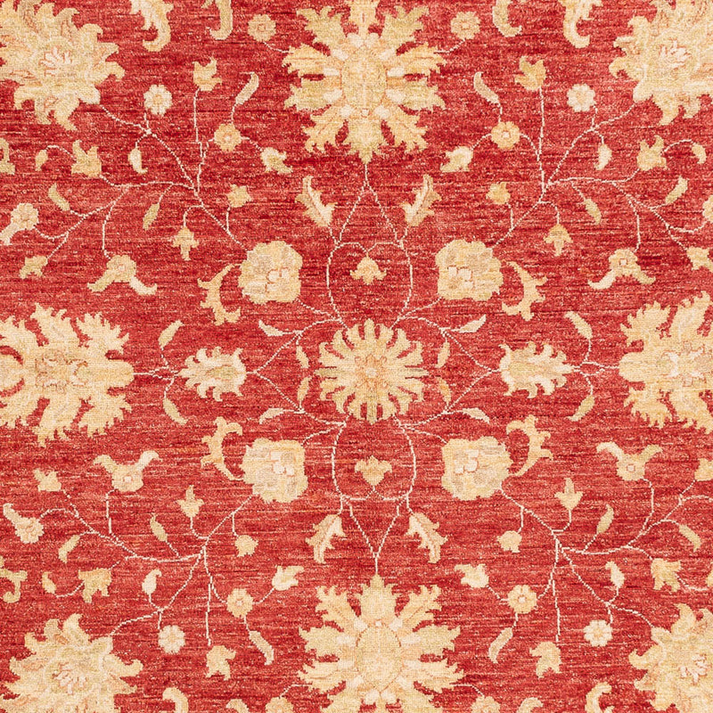 Ziegler Teppe 247x247cm - Orientalsk teppe