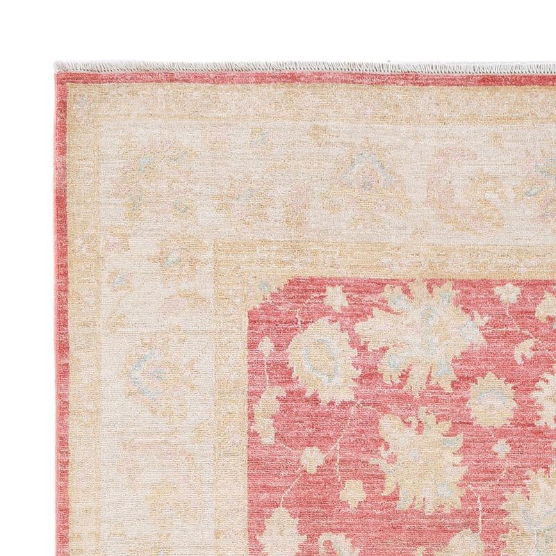 Ziegler Teppe 245x175cm - Orientalsk teppe
