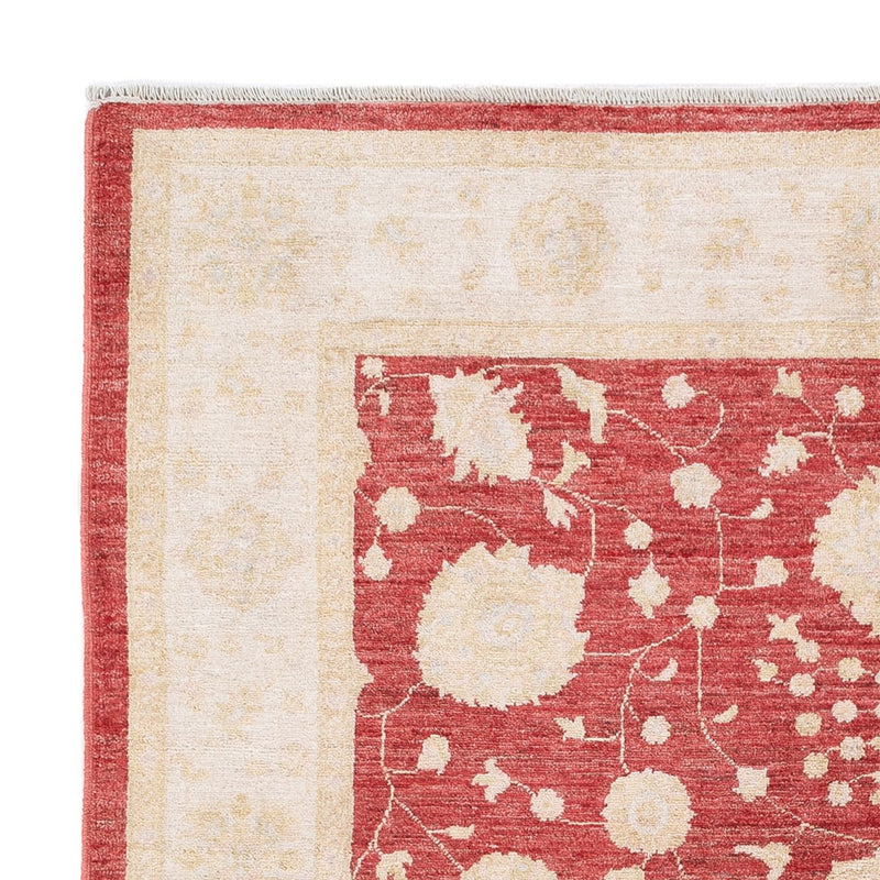 Ziegler Teppe 240x175cm - Orientalsk teppe
