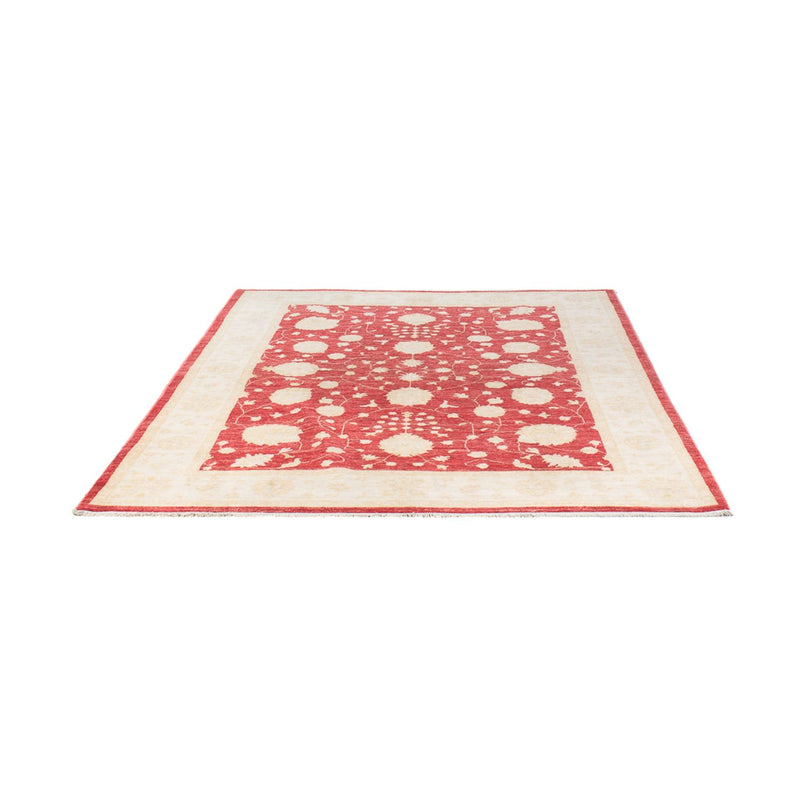 Ziegler Teppe 240x175cm - Orientalsk teppe