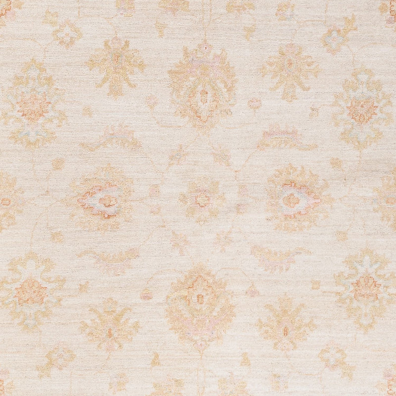 Ziegler Teppe 257x173cm - Orientalsk teppe