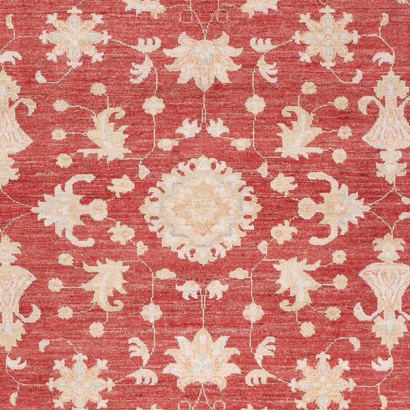 Ziegler Teppe 227x172cm - Orientalsk teppe
