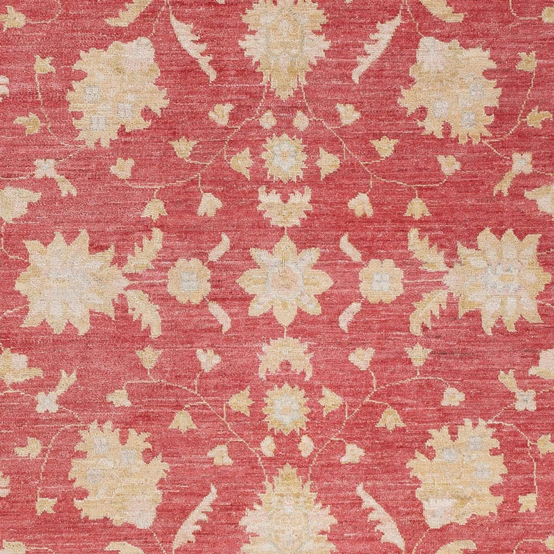 Ziegler Teppe 234x169cm - Orientalsk teppe