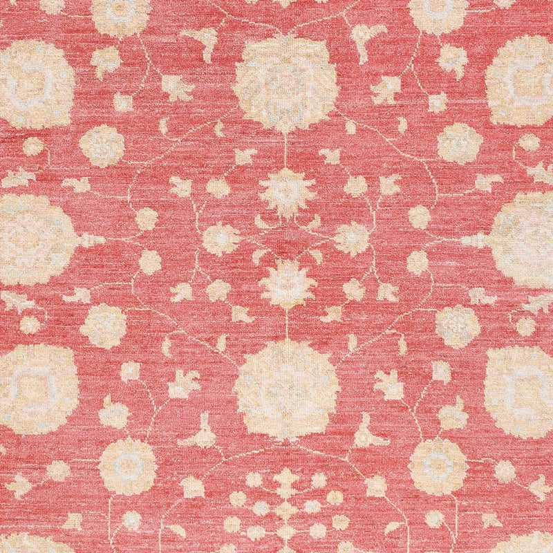 Ziegler Teppe 238x176cm - Orientalsk teppe