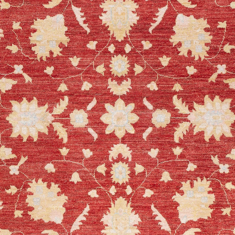 Ziegler Teppe 234x172cm - Orientalsk teppe