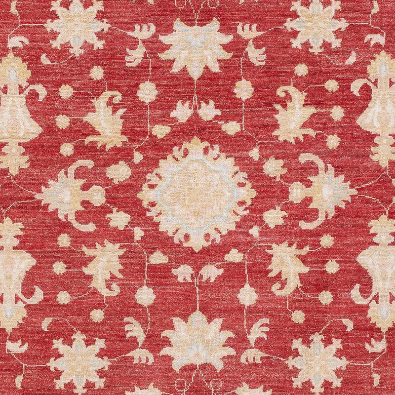 Ziegler Teppe 239x177cm - Orientalsk teppe