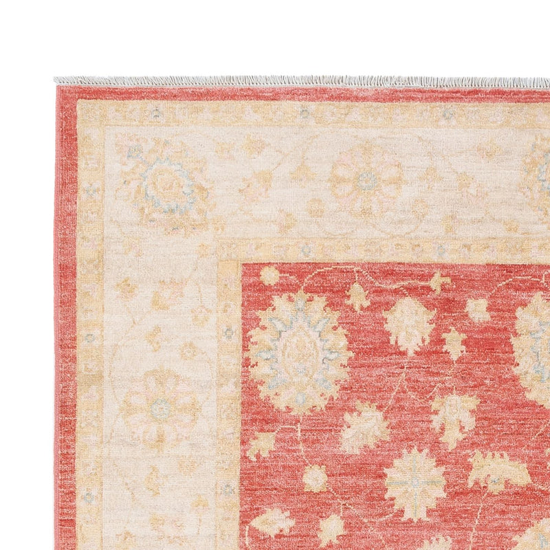 Ziegler Teppe 251x173cm - Orientalsk teppe
