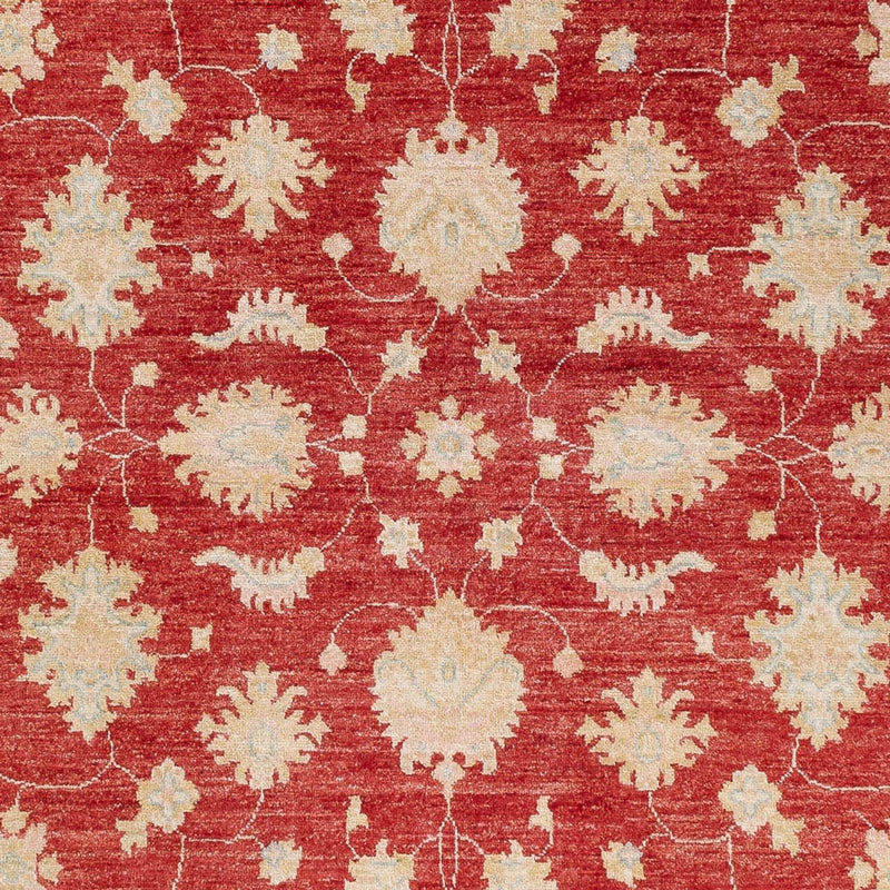 Ziegler Teppe 239x168cm - Orientalsk teppe