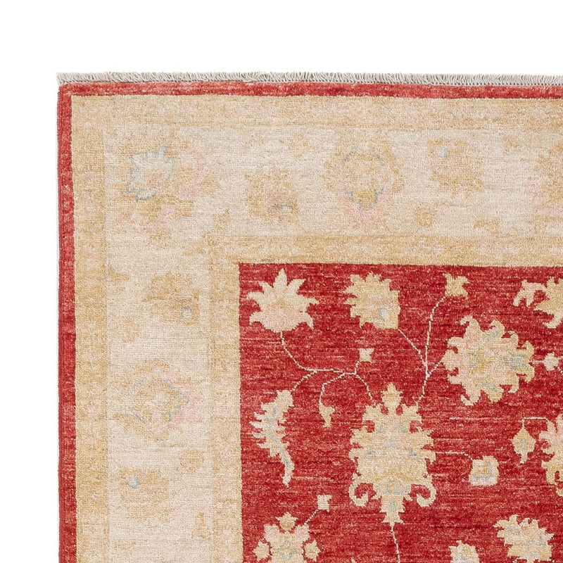 Ziegler Teppe 239x168cm - Orientalsk teppe