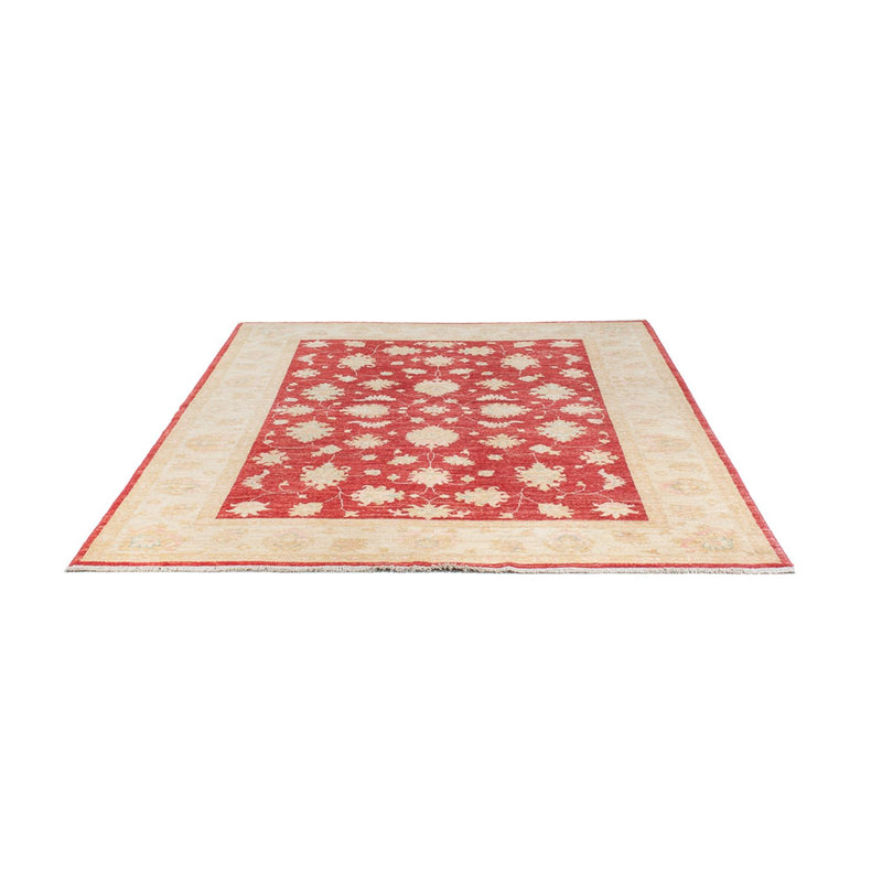 Ziegler Teppe 239x168cm - Orientalsk teppe